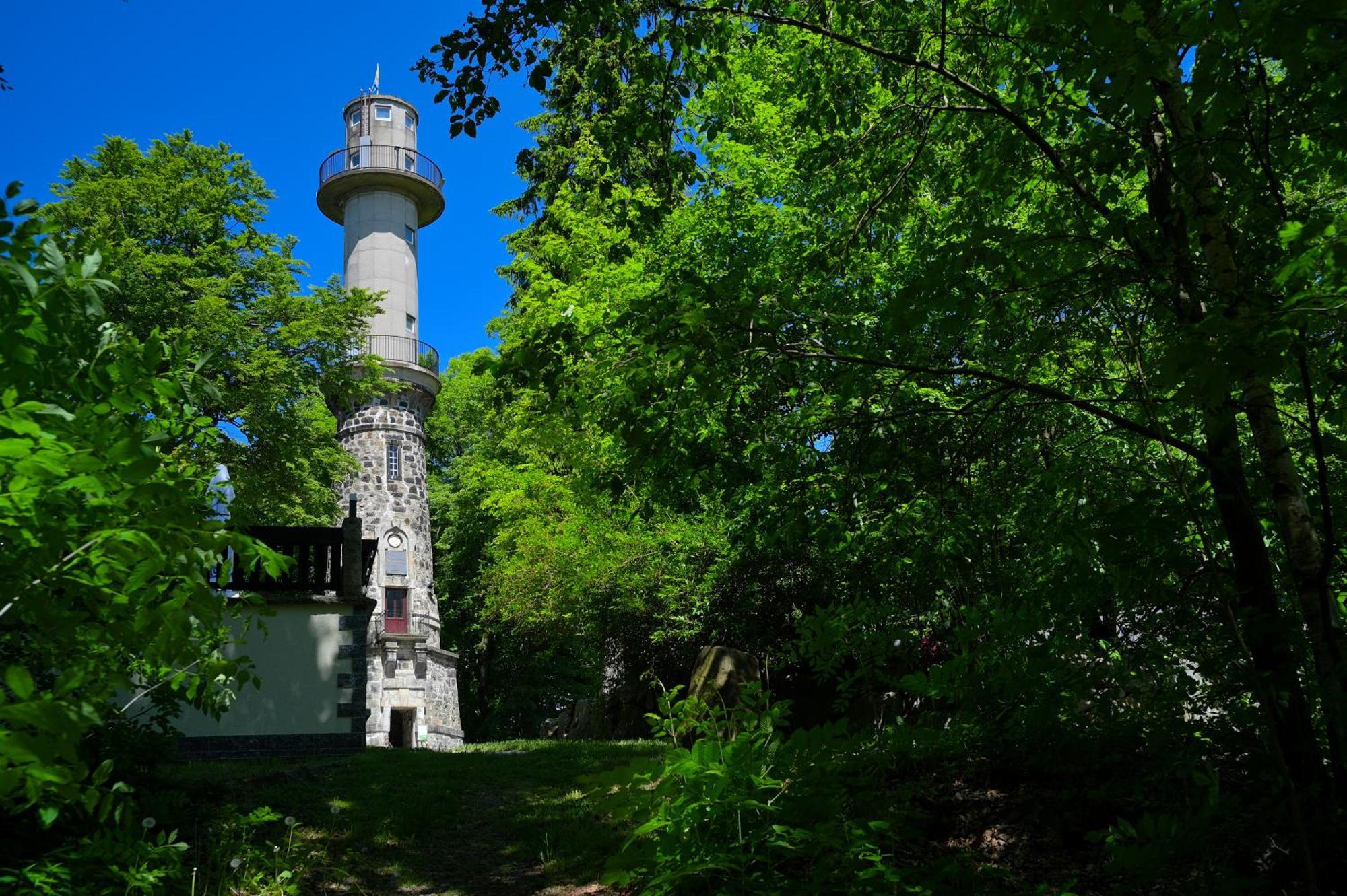 Gasthof Ungerberg Neustadt in Sachsen Exterior photo